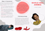 create sleek brochures for print and digital use
